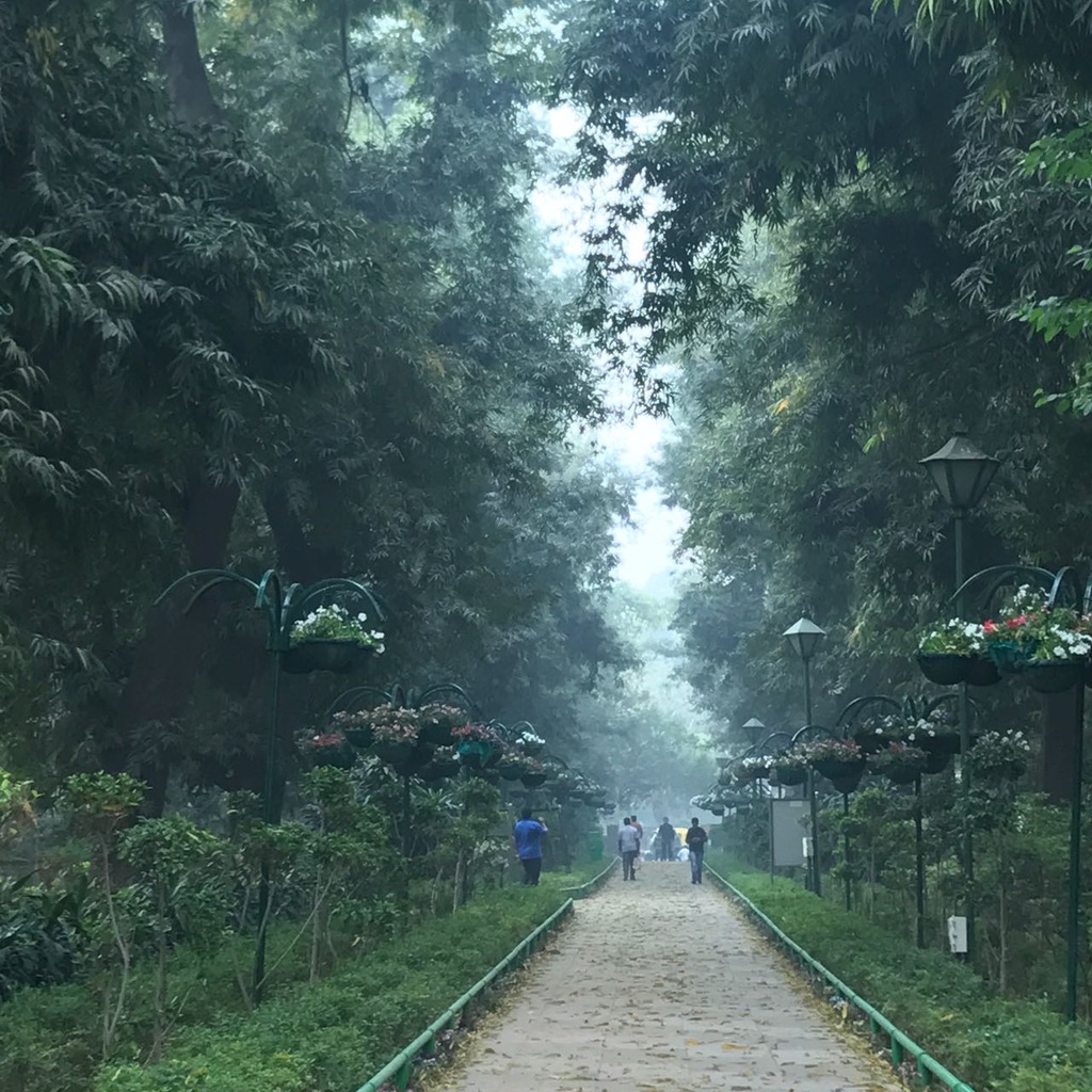 The Place Called Home