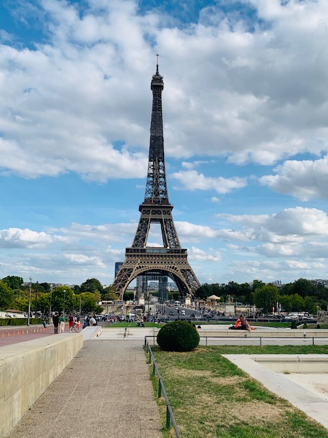 The Flown Bird Story